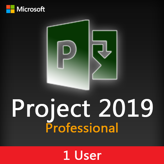 Project 2019 Professional License Key