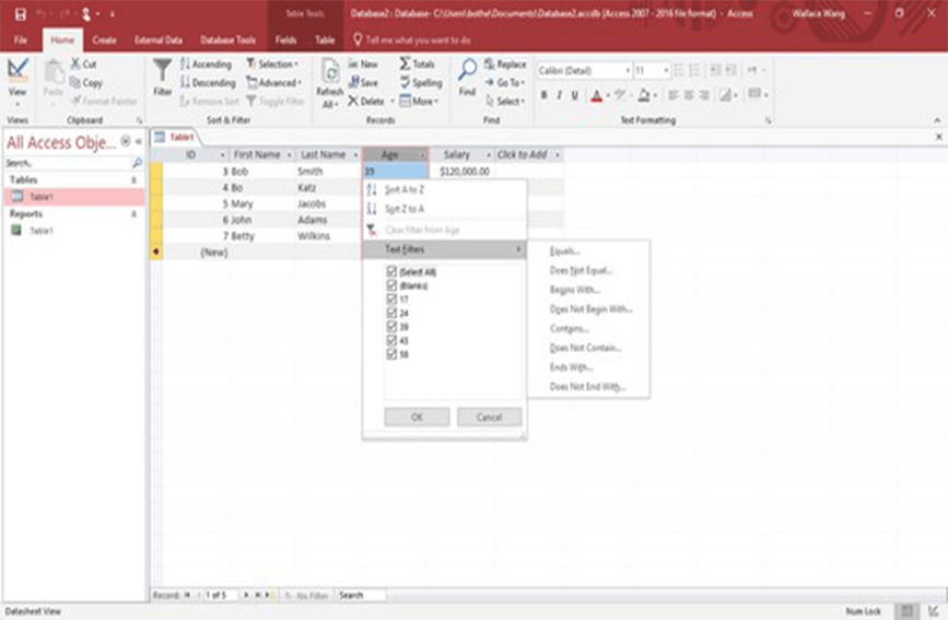 Microsoft Access 2019 features and benefits