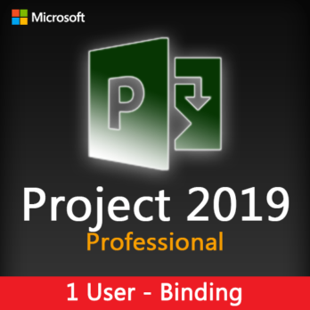 Project 2019 Professional Binding License Key for 1 user