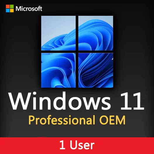 Windows 11 Pro OEM Activation License key for 1 User