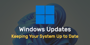 Windows Update - Keeping Your System Up to Date