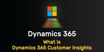What is Dynamics 365 Customer Insights