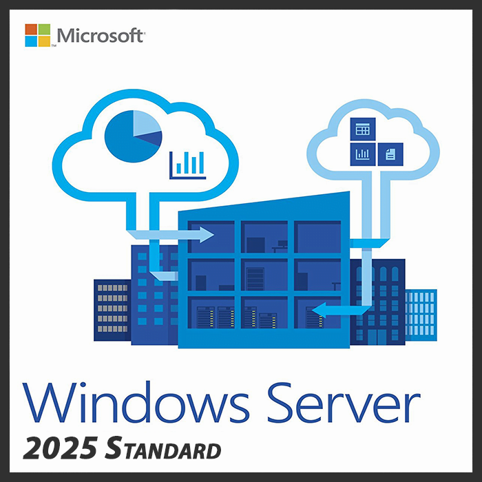 Windows Server 2025 Standard License Key