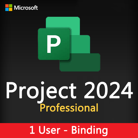 Project 2024 Professional License Key for 1 user