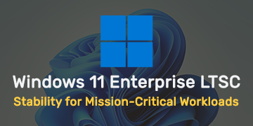 Windows 11 Enterprise LTSC: Stability for Mission-Critical Workloads